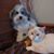 Jorene Dibbern Shreve's profile image