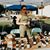 Walz Carroll Katie's profile image