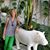 Amy Hopson McCurry's profile image