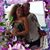 Bobby Trep's profile image