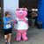 Michelle Boyce Elfrink's profile image