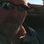 Dennis Hals's profile image
