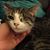 Christine Z Britt's profile image