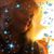 Wendy Johnson Garrett's profile image