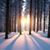 Cyndi Balke's profile image