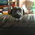 Michael Sipple's profile image