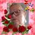 Olga Diaz Carrasquillo's profile image