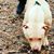Dallas Mckern's profile image