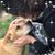 Kim Fleming's profile image
