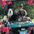 Karen Crawford Morse's profile image