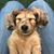Kristin Whitworth's profile image