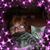 Deb Mcmullen's profile image