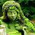 Ira Tozer's profile image