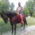 Filiberto Gomez's profile image