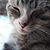 Kelly Powell's profile image