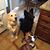 Kathy Younkins's profile image