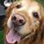 Susan Wagner's profile image