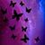 Billie Jo Gibbs Thompson's profile image