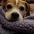 Jacqueline Dunn Kellum's profile image