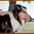 Gail Nichols's profile image