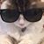 Patricia Cancel's profile image