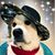 Anita Baez's profile image