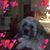 Vickie Bunch's profile image