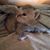 Rhonda Ireland Quiroz's profile image