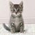 Debbie Cron's profile image