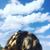Michelle LaMaina-Phillips's profile image