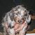 Mari N Huck Huckabay's profile image