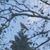 Gayle Robin Mahr's profile image