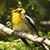 Rhonda H. Little's profile image
