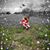 Chantal Yarbrough Valdes's profile image