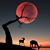 Arturo Cuevas Jr.'s profile image