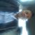 Kader Bougachouche's profile image