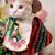 Debbie Cayot's profile image