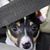 Judy Pritchard's profile image