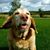 Darell Gilson's profile image