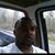 Marcus Tucker's profile image