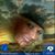 Maggie D'Onofrio's profile image