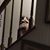 Vicki Renz Brady's profile image