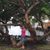 Jane Martins-Simonsen's profile image