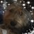 Sue Davis's profile image