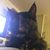 Jennifer Lynne Rizzo's profile image