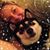 Traci Baker Lawson's profile image