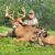 Andrew Clausen's profile image
