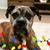 Molly Boyer's profile image
