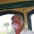 Larry Mac 'n Ernie's profile image