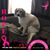 Stephenie J Garcia-fry's profile image